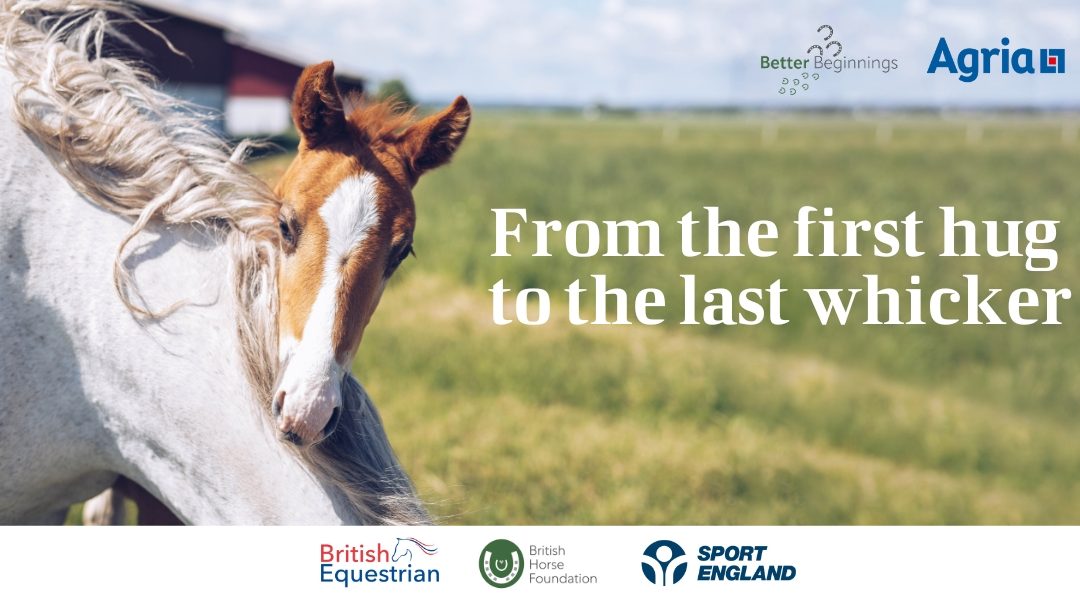 bhf-spring-webinars-2024-header