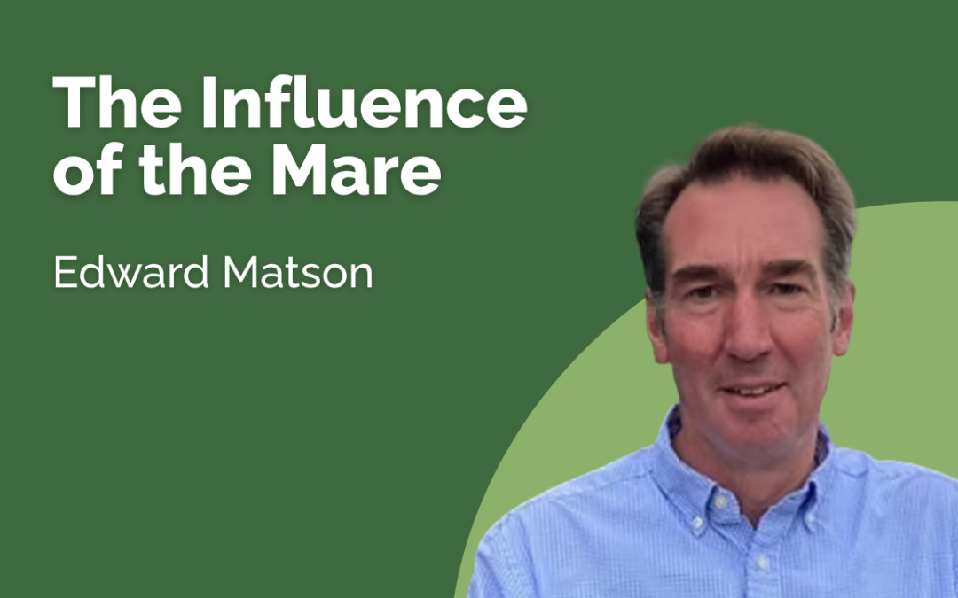 The influence of the mare - Edward Matson
