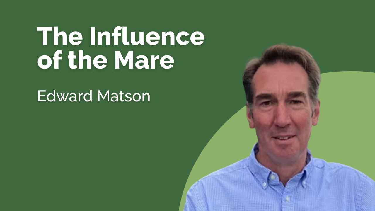 The influence of the mare - Edward Matson
