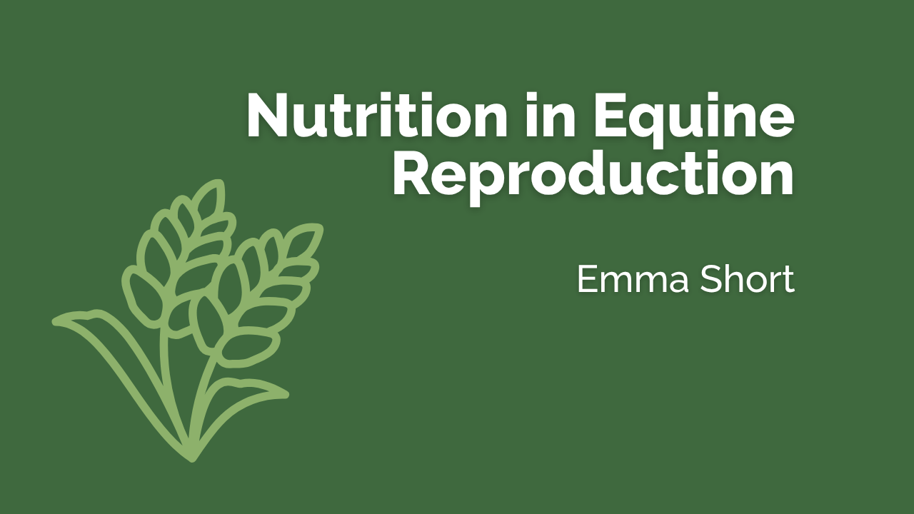 Nutrition in Equine Reproduction - Emma Short