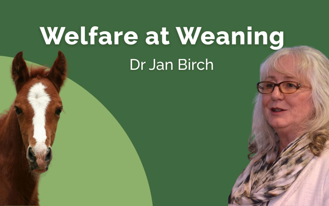 Welfare at Weaning - Dr Jan Birch