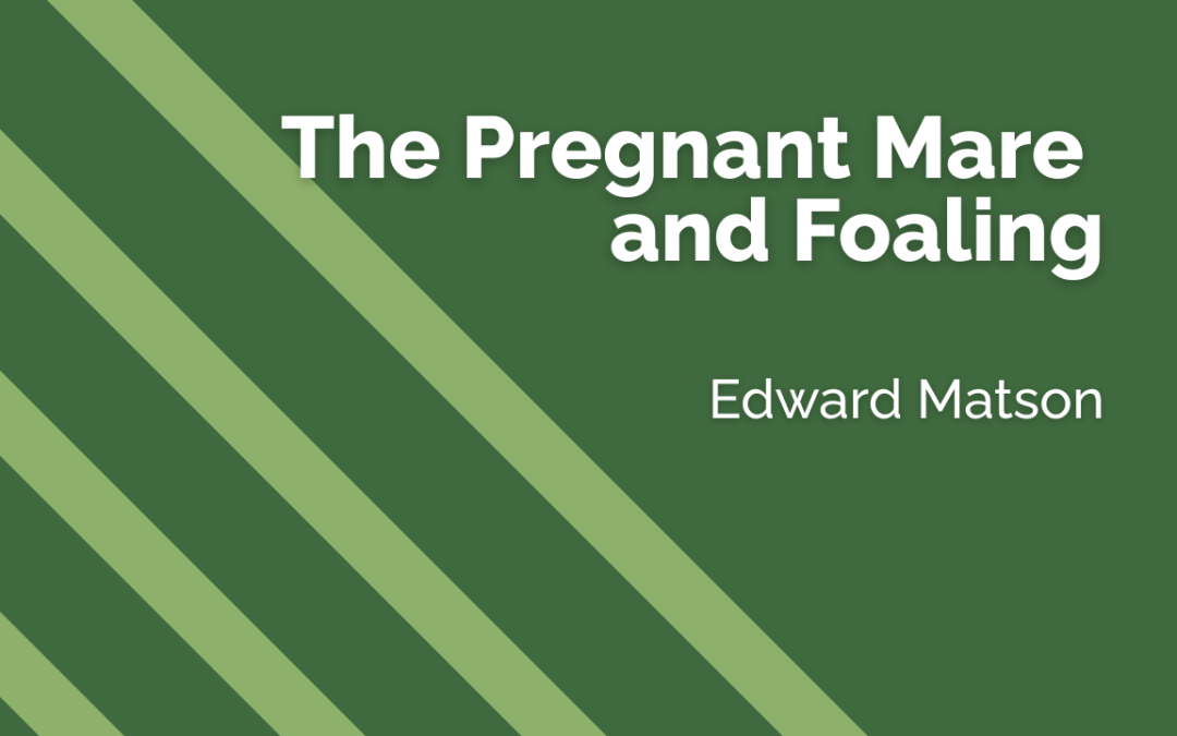 The Pregnant Mare and Foaling