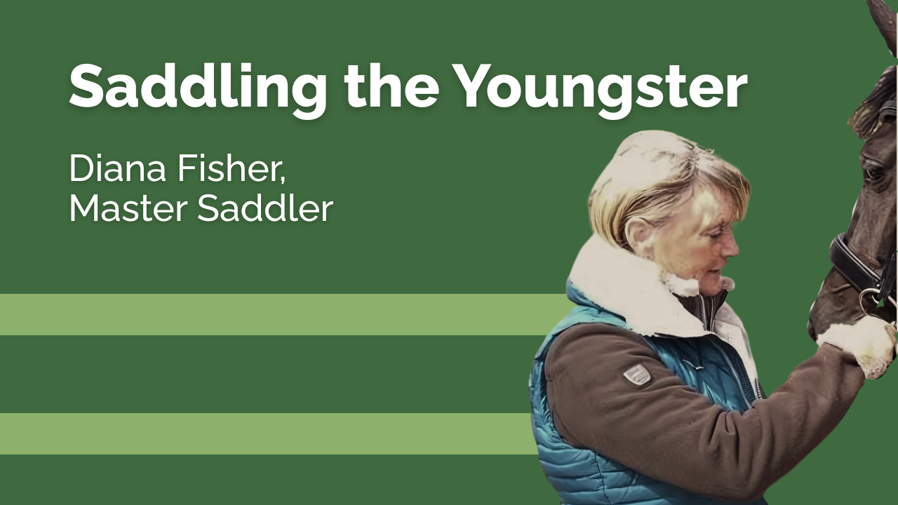 Saddling the Youngster - Di Fisher