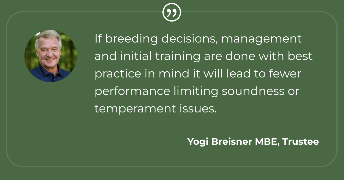 Yogi-quote-bhf