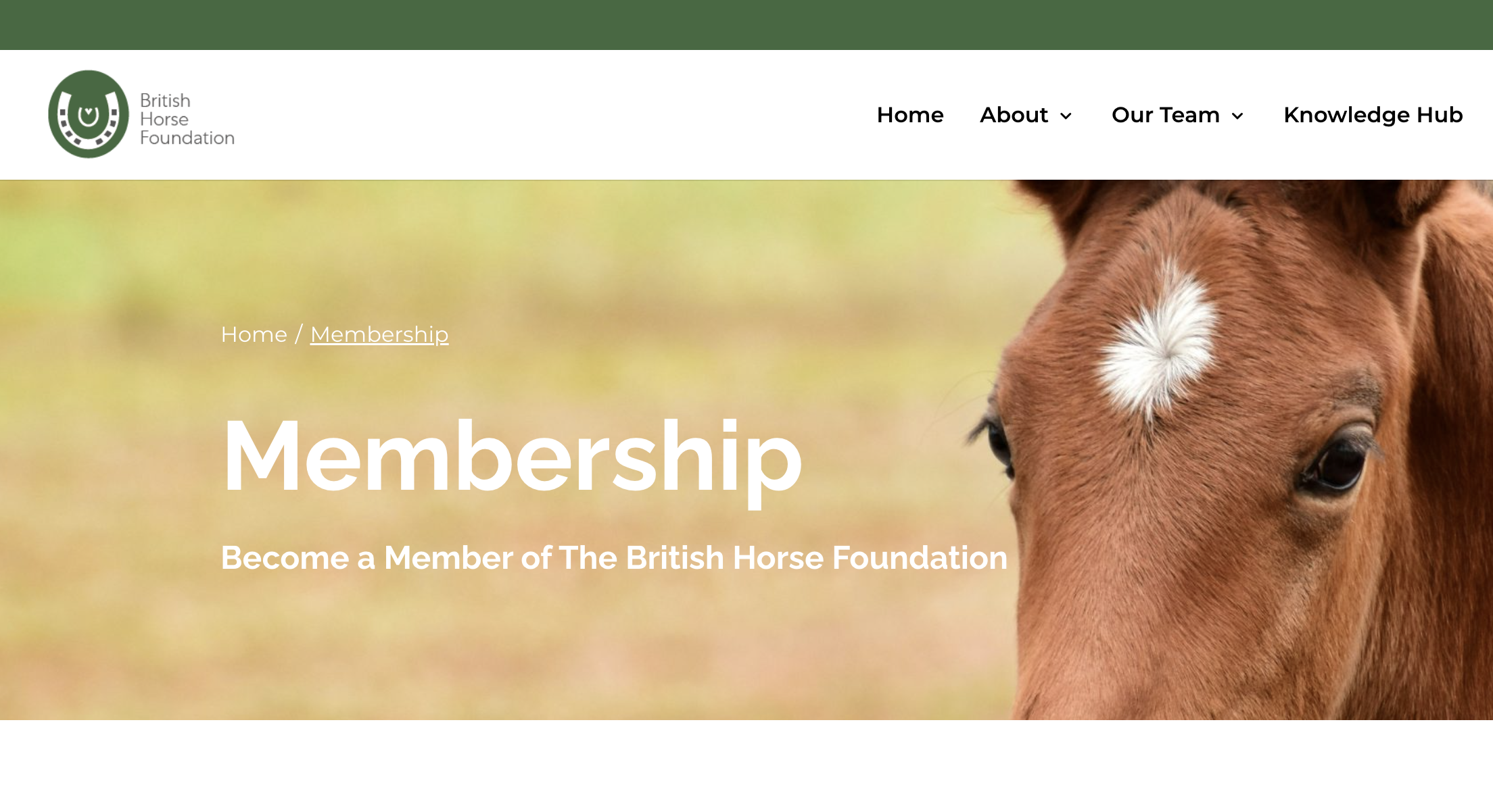 BHF Memberships Coming Soon
